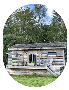 cabane-trappeur-robin-des-bois