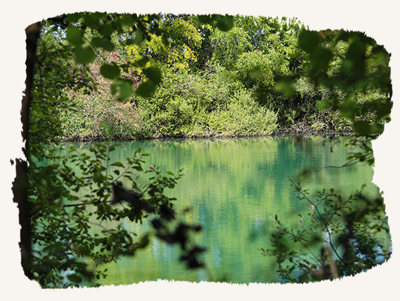 prenez un bain de nature