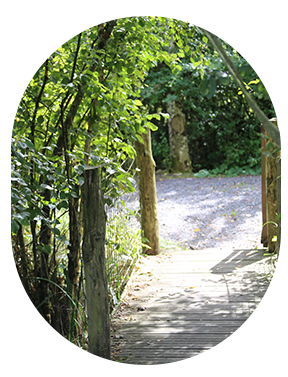 ponton-sentier