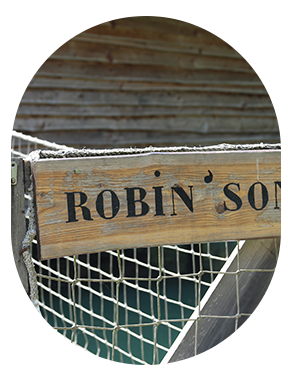 robinson