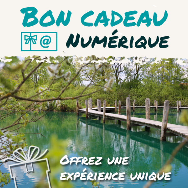 Bon Cadeau numérique Gîtes de Robinson