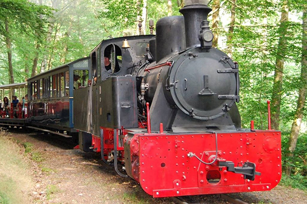 Aux alentours 6 train-forestier