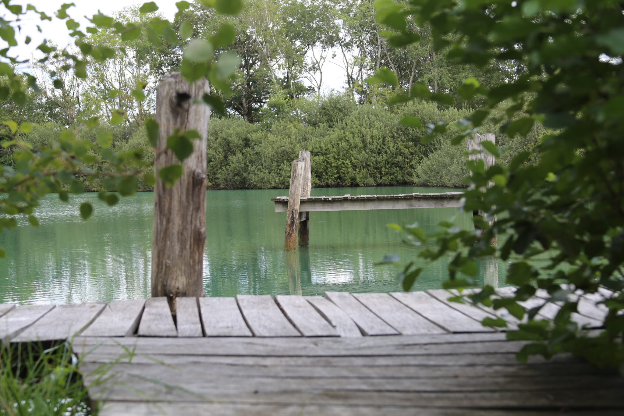 Aux alentours 1 Etang de peche Foulcrey