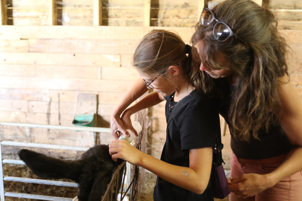 Aux alentours 2 visite anon ferme